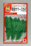 送料無料　[ほうれんそう]　晩抽サマースカイ　小袋(40ml)　タキイ種苗(株)　RF