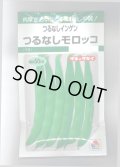 送料無料　[いんげん]　つるなし　モロッコ　50ml　タキイ種苗　GF