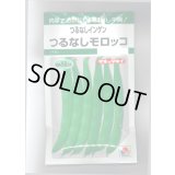 送料無料　[いんげん]　つるなし　モロッコ　50ml　タキイ種苗　GF