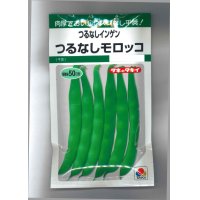 [いんげん]　つるなし　モロッコ　50ml　タキイ種苗　GF　