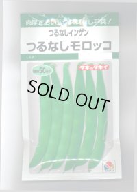 送料無料　[いんげん]　つるなし　モロッコ　50ml　タキイ種苗　GF