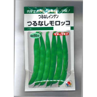 画像1: [いんげん]　つるなし　モロッコ　50ml　タキイ種苗　GF　