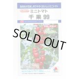 送料無料　[トマト/ミニトマト]　千果99　12粒　タキイ種苗(株)　DF