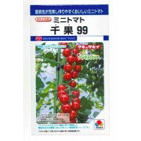 送料無料　[トマト/ミニトマト]　千果99　12粒　タキイ種苗(株)　DF