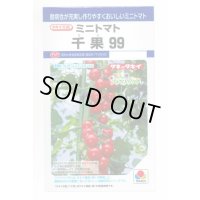送料無料　[トマト/ミニトマト]　千果99　12粒　タキイ種苗(株)　DF