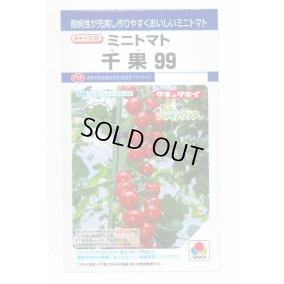 画像1: 送料無料　[トマト/ミニトマト]　千果99　12粒　タキイ種苗(株)　DF