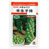 送料無料　[キャベツ]　芽キャベツ　早生子持　0.9ml　タキイ種苗(株)　RF