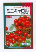 送料無料　[トマト/ミニトマト]　ミニキャロル　5ml　(株)サカタのタネ