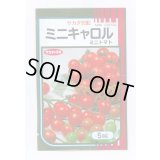 送料無料　[トマト/ミニトマト]　ミニキャロル　5ml　(株)サカタのタネ