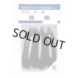 送料無料　[なす]　筑陽　27粒　タキイ種苗(株)　DF