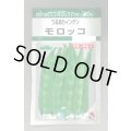 送料無料　[いんげん]　モロッコ　45ml　タキイ種苗(株)　GF