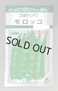 送料無料　[いんげん]　モロッコ　45ml　タキイ種苗(株)　GF