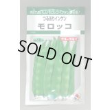 送料無料　[いんげん]　モロッコ　45ml　タキイ種苗(株)　GF