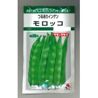 [いんげん]　　モロッコ　45ml　タキイ種苗（株）　GF　