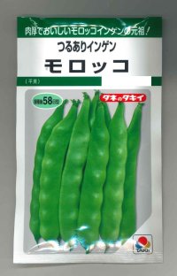 [いんげん]　　モロッコ　45ml　タキイ種苗（株）　GF　