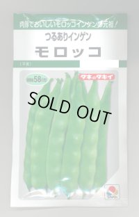 送料無料　[いんげん]　モロッコ　45ml　タキイ種苗(株)　GF