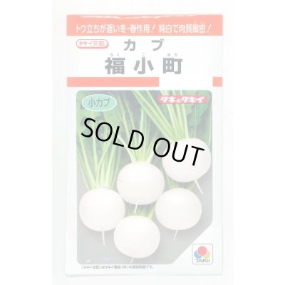 画像1: [かぶ] 福小町 3.5ml タキイ種苗(株) RF