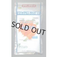 送料無料 [人参] 向陽二号 ペレット種子 ペレット 1万粒 タキイ種苗(株)