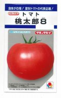 送料無料　[トマト/桃太郎系]　桃太郎8　16粒　タキイ種苗(株)　DF
