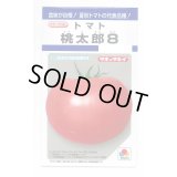 送料無料　[トマト/桃太郎系]　桃太郎8　16粒　タキイ種苗(株)　DF