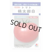 送料無料　[トマト/桃太郎系]　桃太郎8　16粒　タキイ種苗(株)　DF