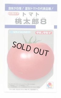 送料無料　[トマト/桃太郎系]　桃太郎8　16粒　タキイ種苗(株)　DF