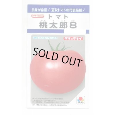 画像1: 送料無料　[トマト/桃太郎系]　桃太郎8　16粒　タキイ種苗(株)　DF