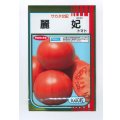 送料無料　[トマト/大玉トマト]　麗妃　1000粒　(株)サカタのタネ