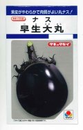 送料無料　[なす]　早生大丸　80粒　タキイ種苗(株)　DF