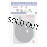送料無料　[なす]　早生大丸　80粒　タキイ種苗(株)　DF
