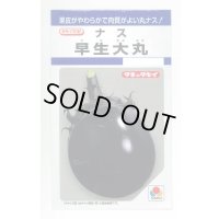 送料無料　[なす]　早生大丸　80粒　タキイ種苗(株)　DF