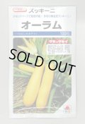 送料無料　[ズッキーニ]　オーラム　100粒　タキイ一代交配