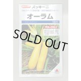 送料無料　[ズッキーニ]　オーラム　100粒　タキイ一代交配
