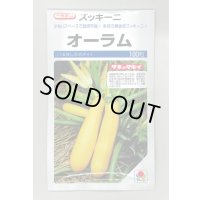 送料無料　[ズッキーニ]　オーラム　100粒　タキイ一代交配
