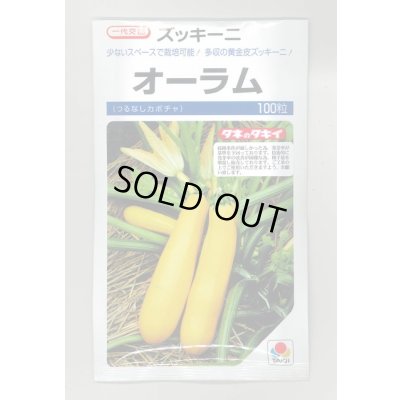 画像1: 送料無料　[ズッキーニ]　オーラム　100粒　タキイ一代交配