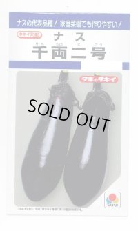 送料無料　[なす]　千両二号　50粒　タキイ種苗(株)　DF