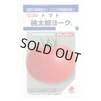 送料無料　[トマト/桃太郎系]　桃太郎ヨーク　18粒　タキイ種苗(株)　DF