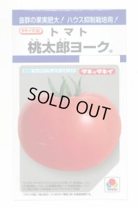 送料無料　[トマト/桃太郎系]　桃太郎ヨーク　18粒　タキイ種苗(株)　DF
