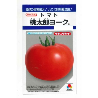 画像1: 送料無料　[トマト/桃太郎系]　桃太郎ヨーク　18粒　タキイ種苗(株)　DF
