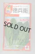 送料無料　[ほうれんそう]　徳兵衛　40ml　タキイ種苗(株)　RF