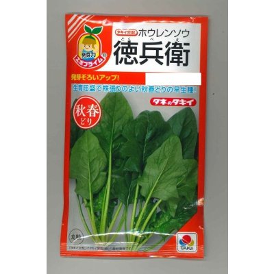 画像1: 送料無料　[ほうれんそう]　徳兵衛　40ml　タキイ種苗(株)　RF