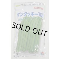 [いんげん] ケンタッキー101 1L タキイ種苗