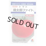 送料無料　[トマト/桃太郎系]　桃太郎ファイト　16粒　貴種(コートしてません)　タキイ種苗(株)　DF