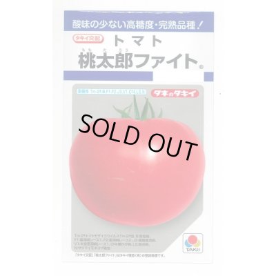 画像1: 送料無料　[トマト/桃太郎系]　桃太郎ファイト　16粒　貴種(コートしてません)　タキイ種苗(株)　DF