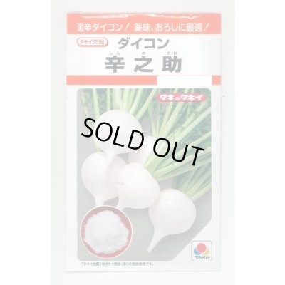 画像1: [大根] 辛之助 5ml タキイ種苗(株) RF