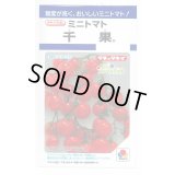 送料無料　[トマト/ミニトマト]　千果　小袋(16粒)　タキイ種苗(株)　DF