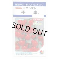 送料無料　[トマト/ミニトマト]　千果　小袋(16粒)　タキイ種苗(株)　DF