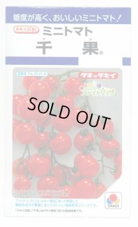 送料無料　[トマト/ミニトマト]　千果　小袋(16粒)　タキイ種苗(株)　DF