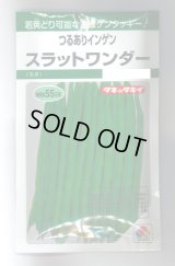 送料無料　[いんげん]　つるあり　スラットワンダー　45ml　タキイ種苗　GF