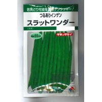 [いんげん]　つるあり　スラットワンダー　45ml　タキイ種苗　GF　